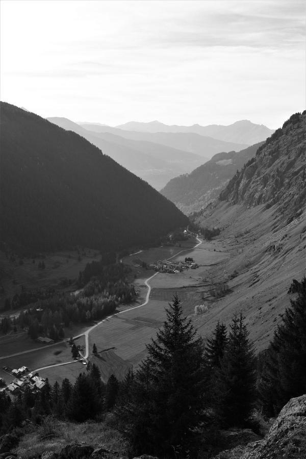 La Maizon Du Bois - Le Haut Appartement De 130 M2 - Le Bas Appartement De 70 M2 La Plagne Dış mekan fotoğraf